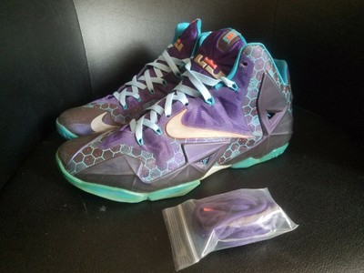 lebron 11 purple