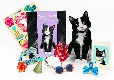 FRESHCUT PAPER Cat 3D Pop Up Card, Birthday, Thank You, Get Well, Love, Family, All Occasions