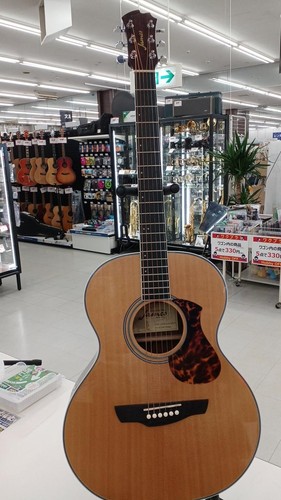 JAMES J-500A/OVA Acoustic Electric Guitar