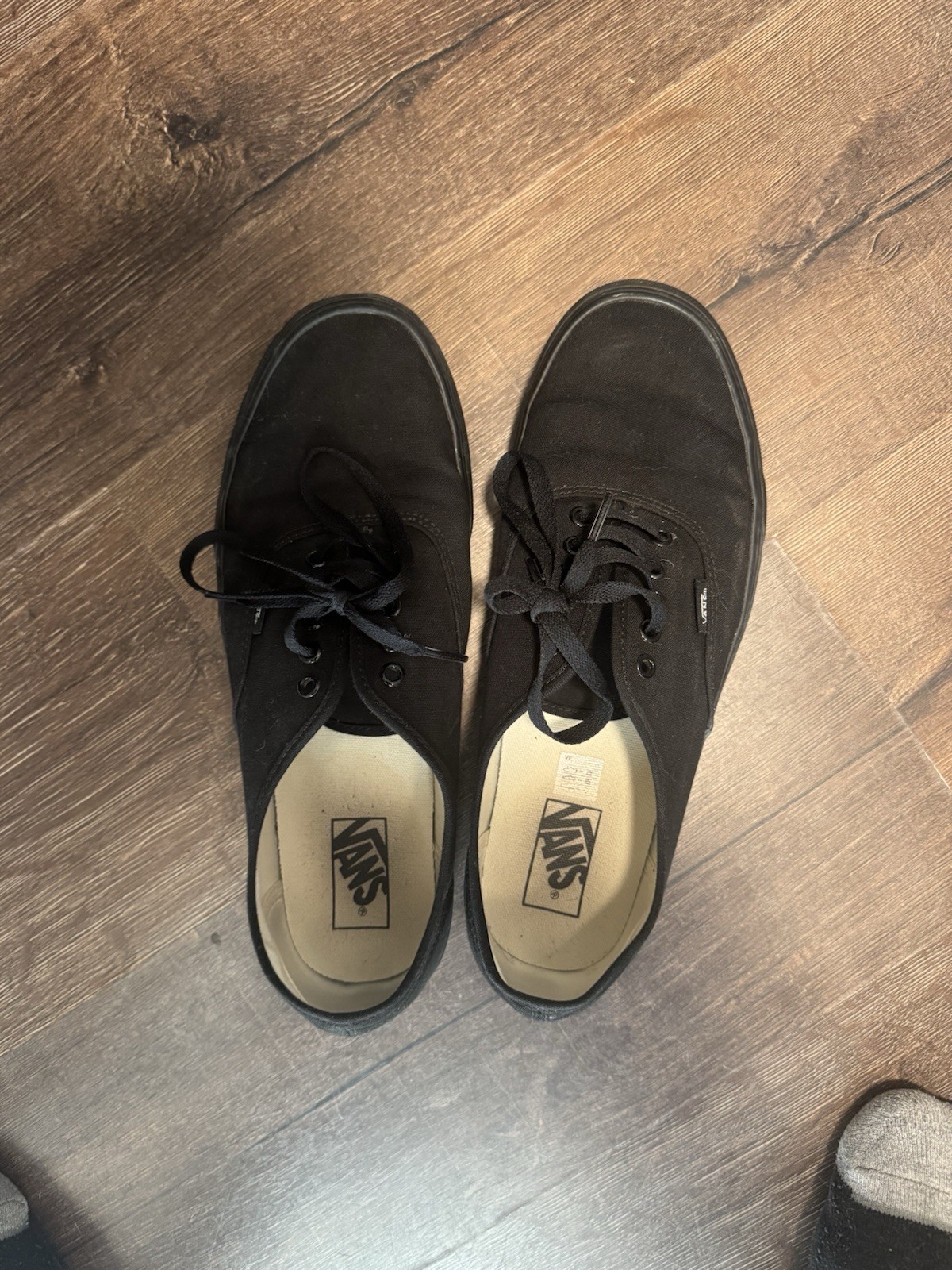 SAOLA VANS uomo taglia 11 5