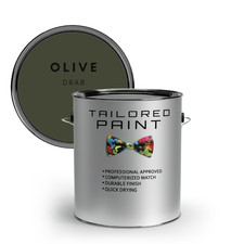 Garden and Metal Railing Brushing Enamel Paint High Coverage Free Postage