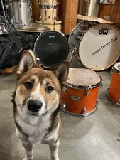 Tambor Tom Rack 12" Mapex M BIRCH LACA NARANJA 10x12 #MO3