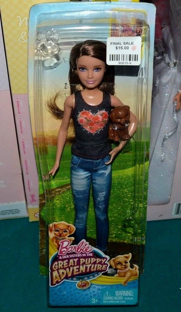 Skipper on sale barbie dreamhouse