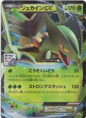 Pokemon Card [Promo] 163 / XY-P Jucin In EX | eBay