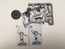 Cabalist D Claw Single Corvus Cabal WARCRY Warband Warhammer Age Sigmar Chaos