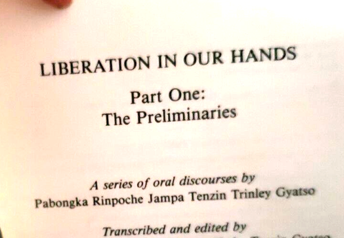 RELIGION: LIBERATION IN OUR HANDS , Pabongka Rinpoche, Buddhism, 2 Volumes, Book - Picture 7 of 10