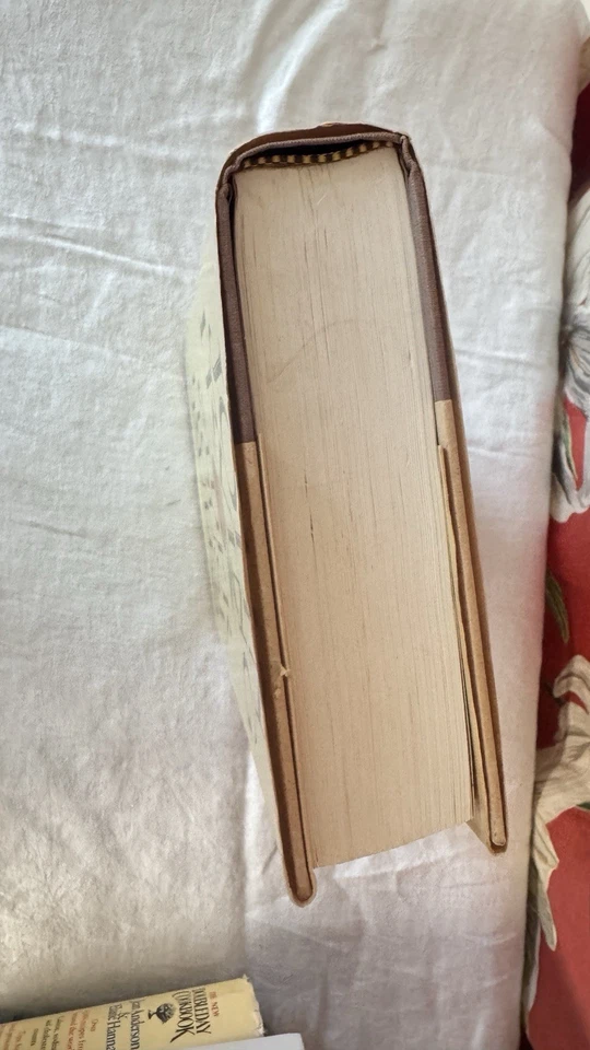 The Cider House Rules by John Irving First Edition, 1st Printing 1985 Hardcover Foto 3 de 4