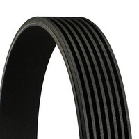 Continental Ctam Keilrippenriemen 7PK1080 FüR Alfa Lancia Spider 166 155 145 Gtv