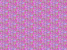1/2 Yard Fabric - Jumpstart Silene - Fuchsia by Anna Maria Textiles