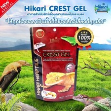 Hikari Crested Gecko Food Fruit Gel Insect Eating Reptiles Herptile Crest