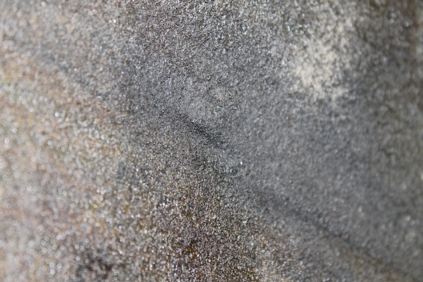 Foto 6 di 6