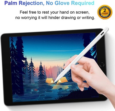 Stylus Pen 3. Generation für Apple iPad 2020/2019/2018 Magnetische Stift Pencil