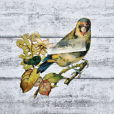 um 1900 Vogel Blüte Tier Natur Victorian Glanzbild Prägedruck Luxuspapier Retro