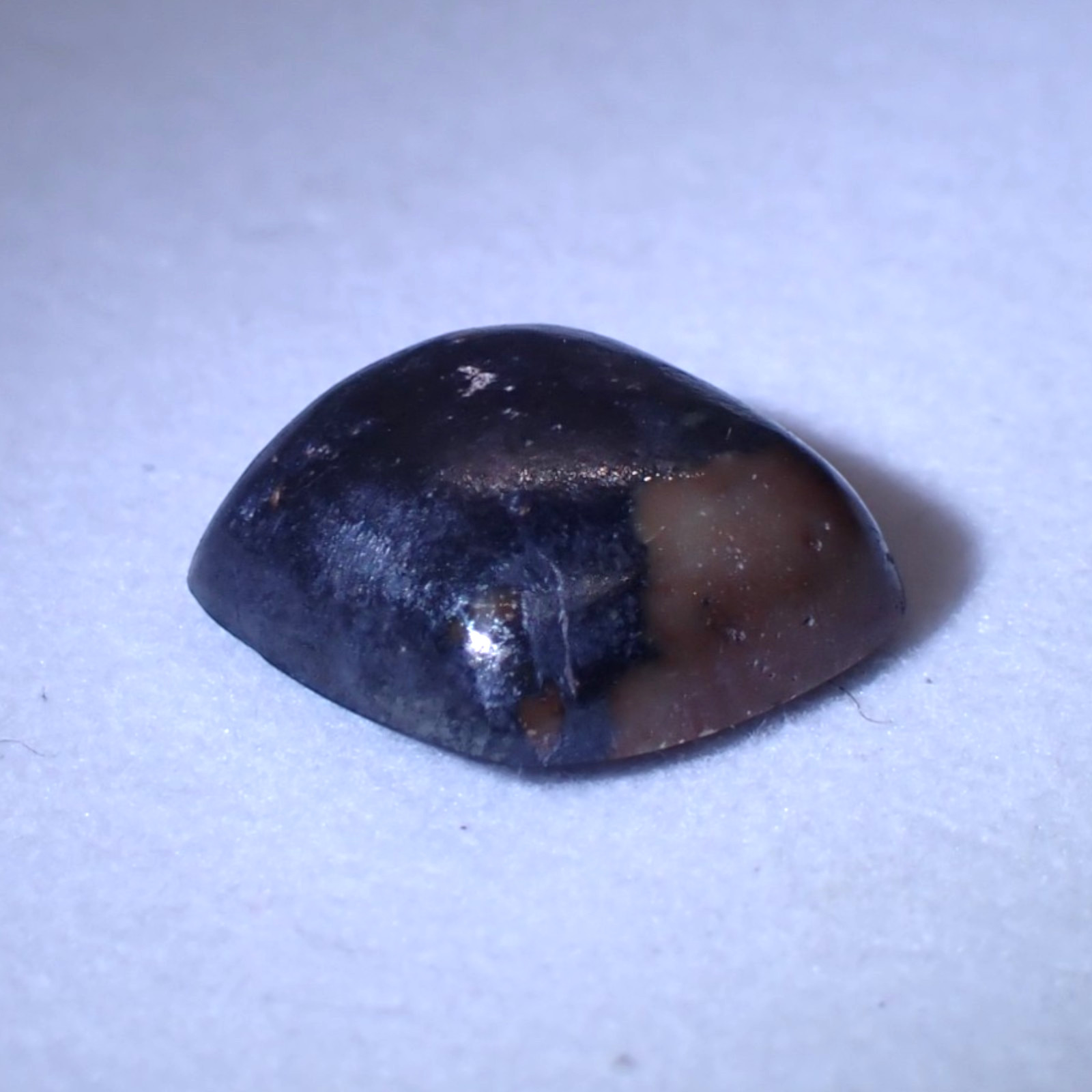 FREAKINGCAT - 5.70 ct RAMSDELLITE - USA