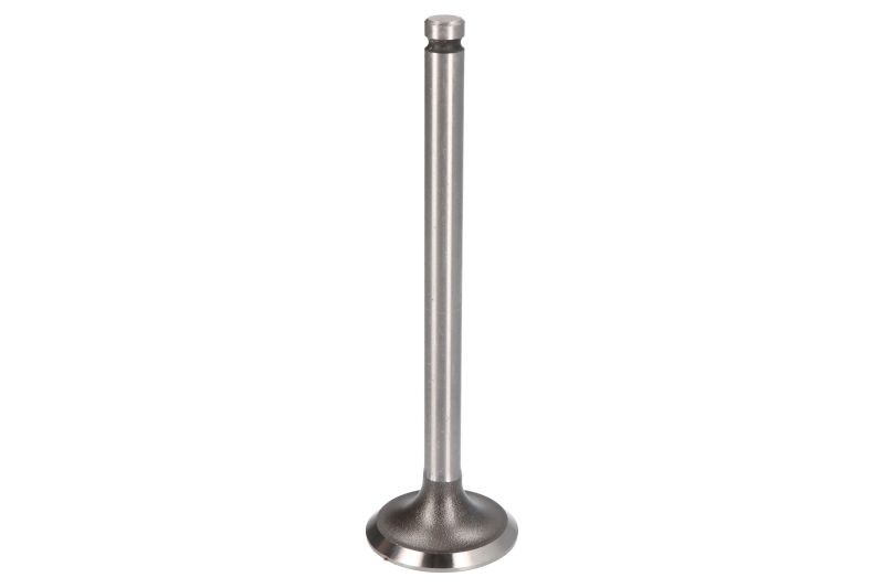 Fits VAPORMATIC VPA1070 Exhaust valve VPA1070 Exhaust valve (33,3x7,9x114mm) fi
