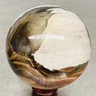 Natural Petrified Wood Polished Stone Quartz Crystal Sphere Ball Healing 1200G — photo 9