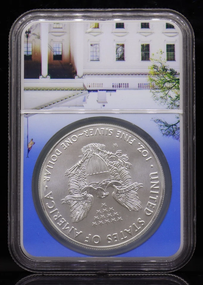 2020-W Burnished American Eagle NGC MS70 - Image 4 of 4