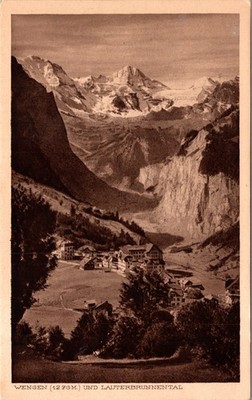 Birds Eye View from Steinberg Hill Wengen Switzerland UNP DB Postcard  W27