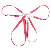 Trainingsleine FüR Welpen Hunde Doppelleine Nylon Hundeleine Robuste