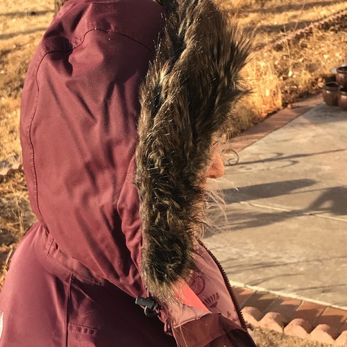 The North Face Plum Hooded Goose Down Hyvent Coat Women's XS - Picture 4 of 10
