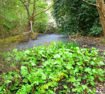 Photo 6x4 Water in the Belgian Moat Coleman Green A bit of a murky pictur c2014