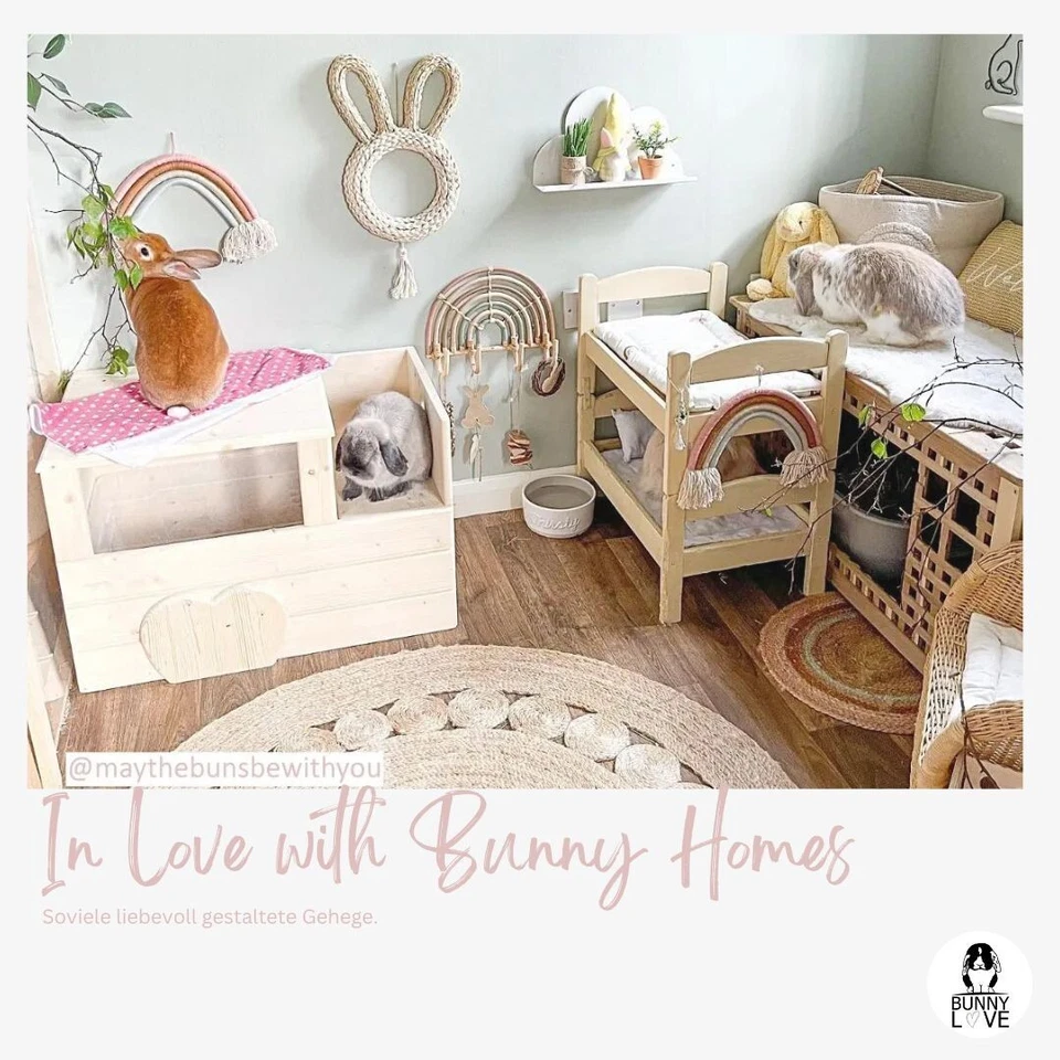 Buddelkiste Kaninchen Buddelbox für Zwergkaninchen Kaninchenzubehör - Bild 4 von 4