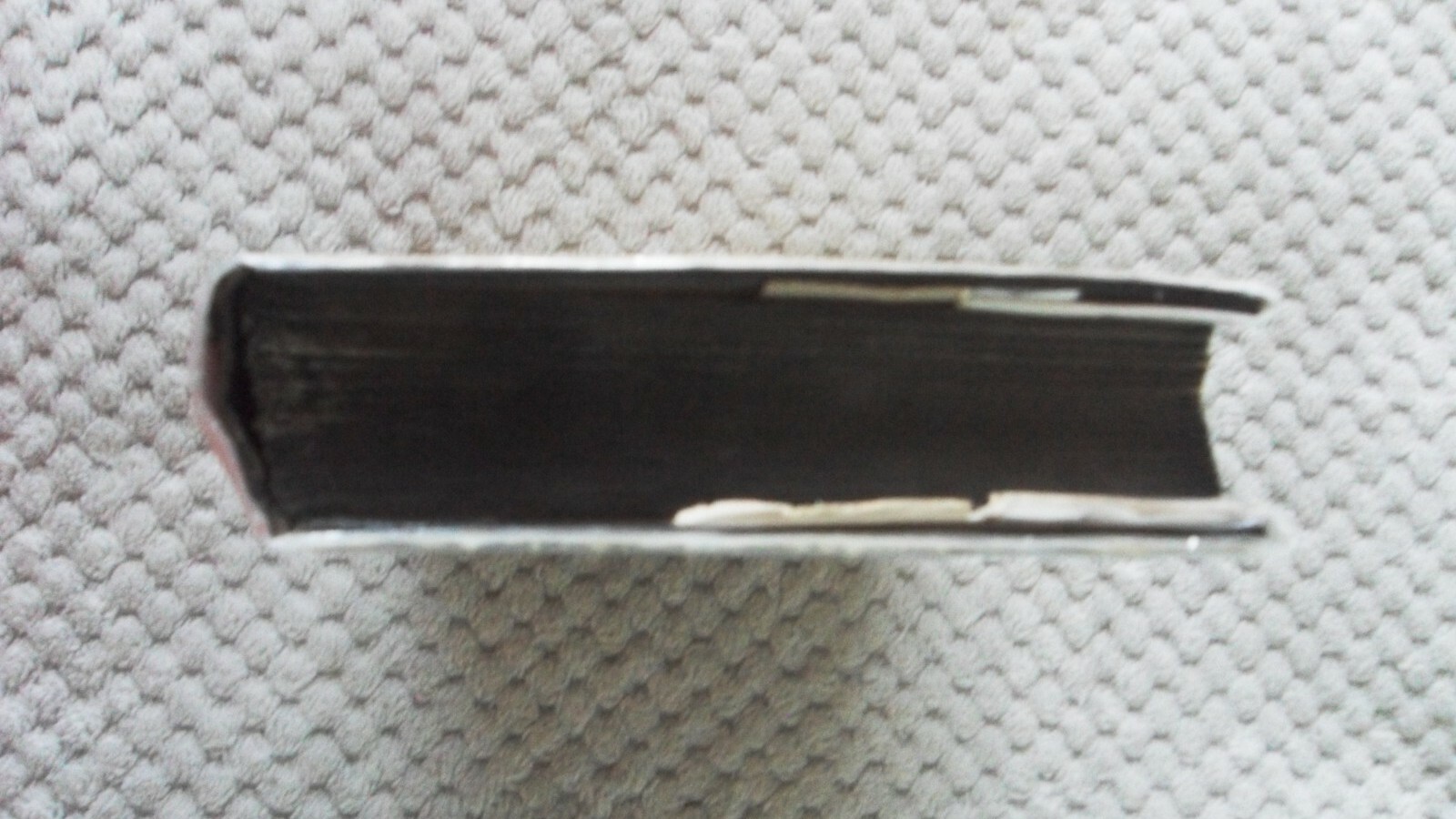 Bild 8 von 12