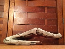 Beautiful 16" DRIFTWOOD Piece Art Terrarium Taxidermy Aquarium Beach Wood DECOR