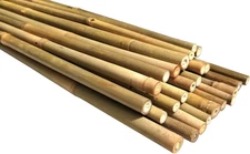 Dlh Western Natural Bamboo Poles Eco-Friendly Plant Support Garden 25-Count