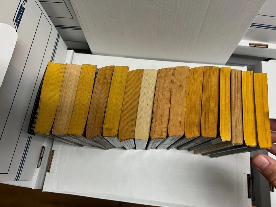 Lot of 15 Vintage Conan Paperbacks Roland Green Robert Jordan Poul Anderson+++ - Image 2 of 4