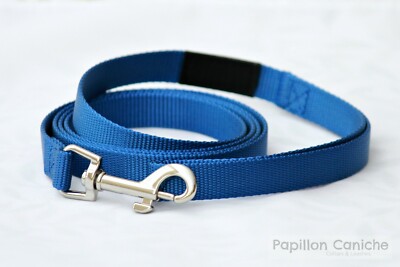Pack of 10 Kerry Blue Nylon Dog Leashes by Papillon Caniche 5 ft long Pets Cats