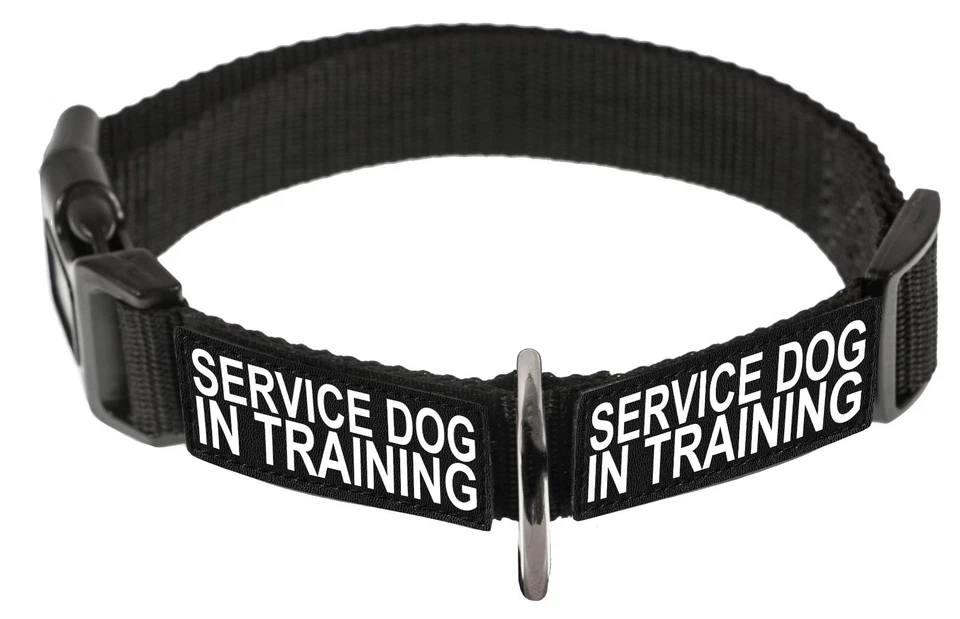 Collar de nailon Dogline Omega con parches extraíbles terapia de servicio Foto 4 de 4