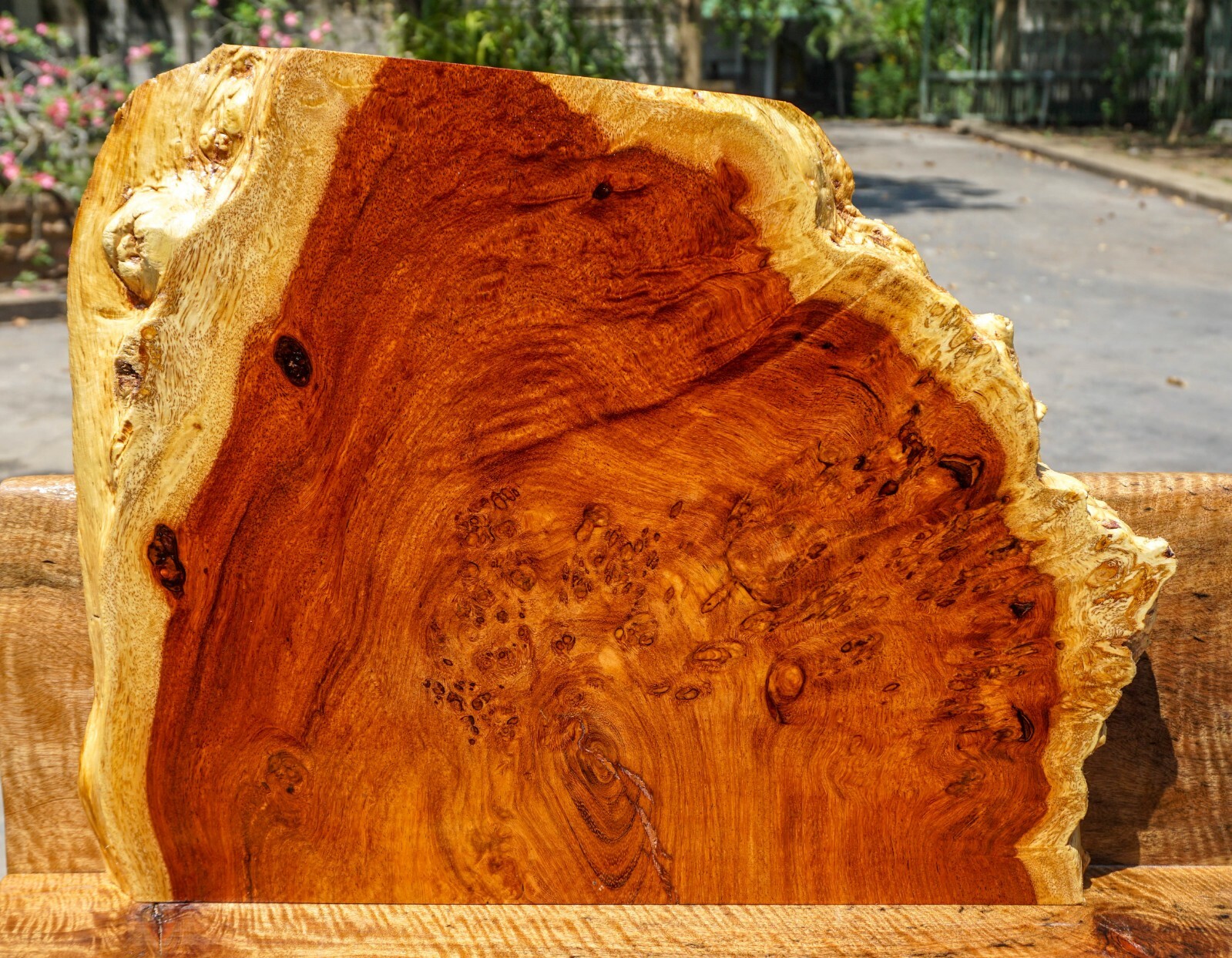 Gold AMBOYNA BURL LUMBER Live Edge Natural Slab Wood Epoxy Resin Table Top DIY-image