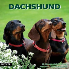 2025-2026 Wall Calendar, Dachshund, 12" x 24", for Dogs Lovers