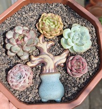 Ceramic Tree Trunk Decoration For Succulent Arrangement 