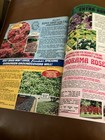Ferndale Gardens 1977 Vintage Catalog  — photo 6