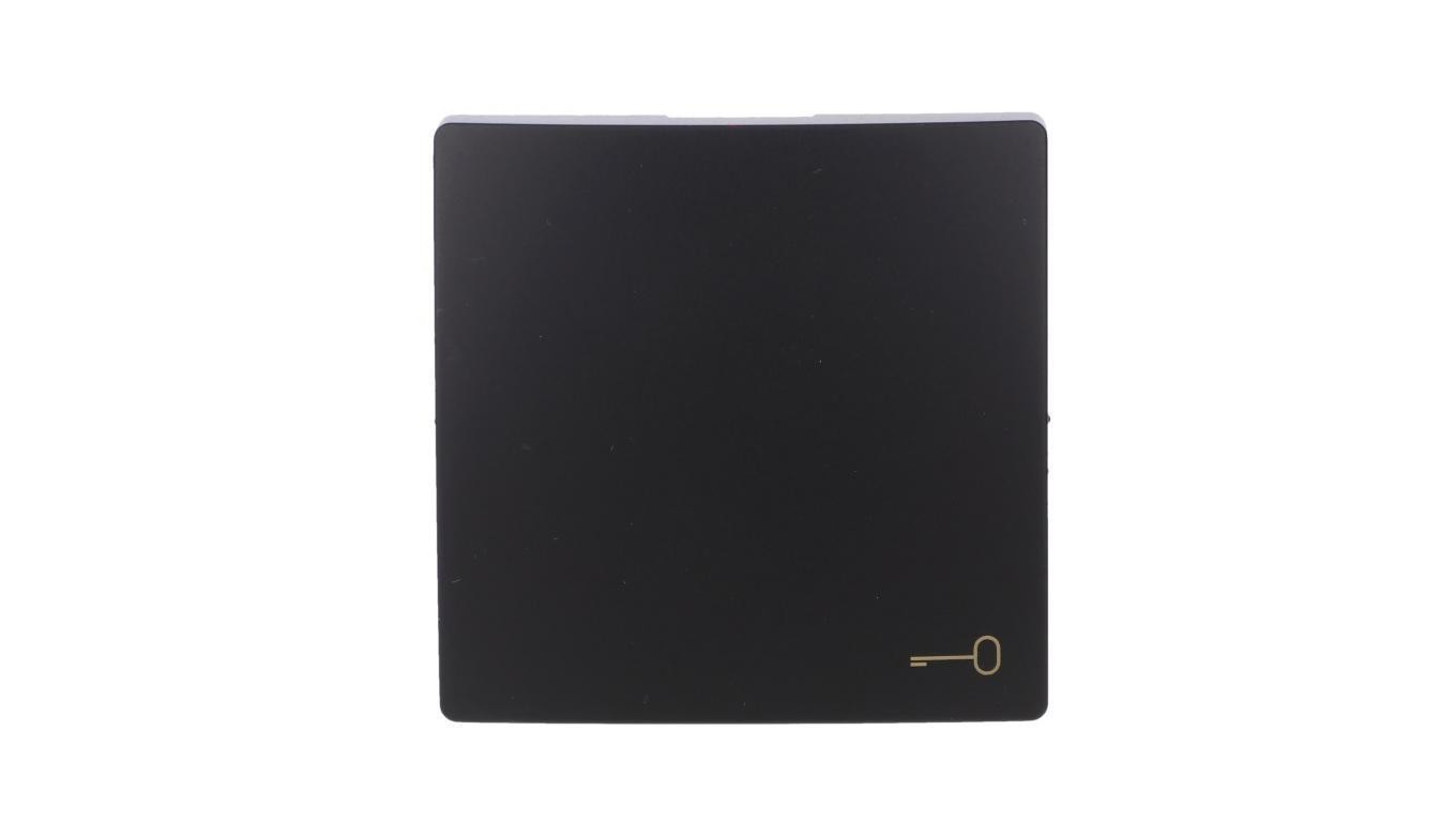 Single Key Pictogram Key Button Simon Basic BMKWK1/49