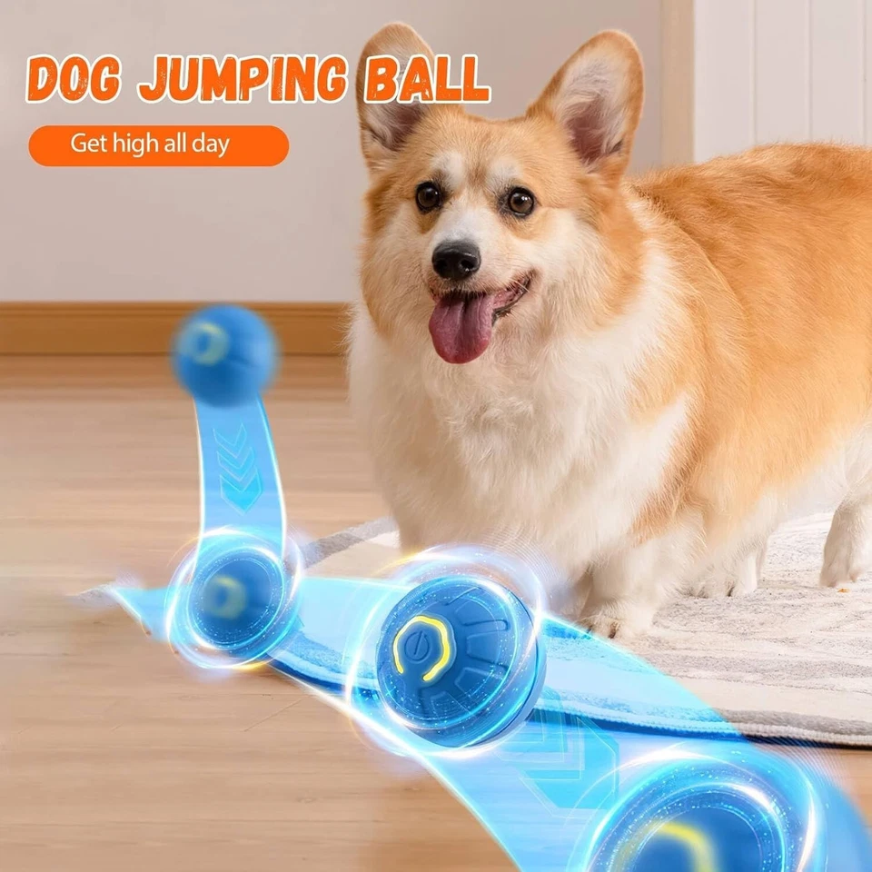 PALLA ELETTRICA RIMBALZANTE RICARICABILE CON LUCE LED ROTOLANTE PER CANI - Immagine 3 di 4