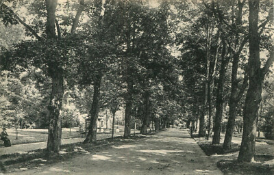 Postcard Baden-Baden 1906 Lichtenthaler Allee Park Woman on a Bench 