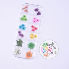 30PCS Real Pressed Dry Mixed flowers leaves collection for craft FCD504 #5