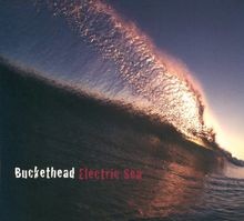 Electric Sea,the von Buckethead | CD | Zustand sehr gut