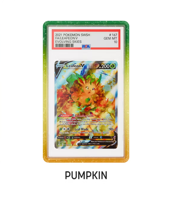 【PSA鑑定専用ケース】Graded Guard PUMPKIN s-l400.png