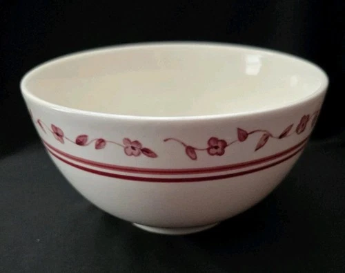 SET OF 4 PFALTZGRAFF DELICIOUS CEREAL BOWLS 6" APPLE