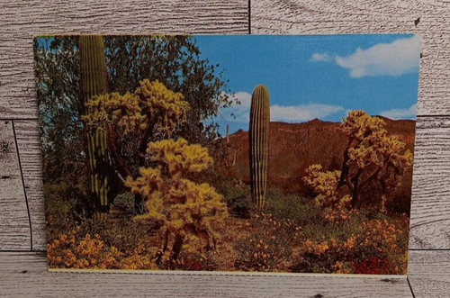 Tarjeta postal vintage primavera desierto cactus flores naturaleza efímera recuerdo de viaje