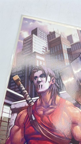 TEENAGE MUTANT NINJA TURTLES DREAMWAVE #1 (2003) Incentive Cover NM - Back Issue - Picture 18 of 20