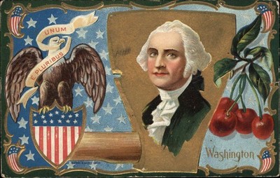 Patriotic George Washington Portrait Axe Eagle Shield Gilt Embossed Vintage PC
