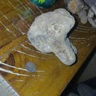 effigy rock — photo 1