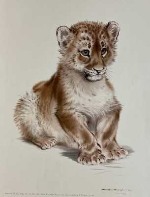 Ralph Thompson - Cub - S/N Litho - Paper Lithograph - Excellent Condition 21x15