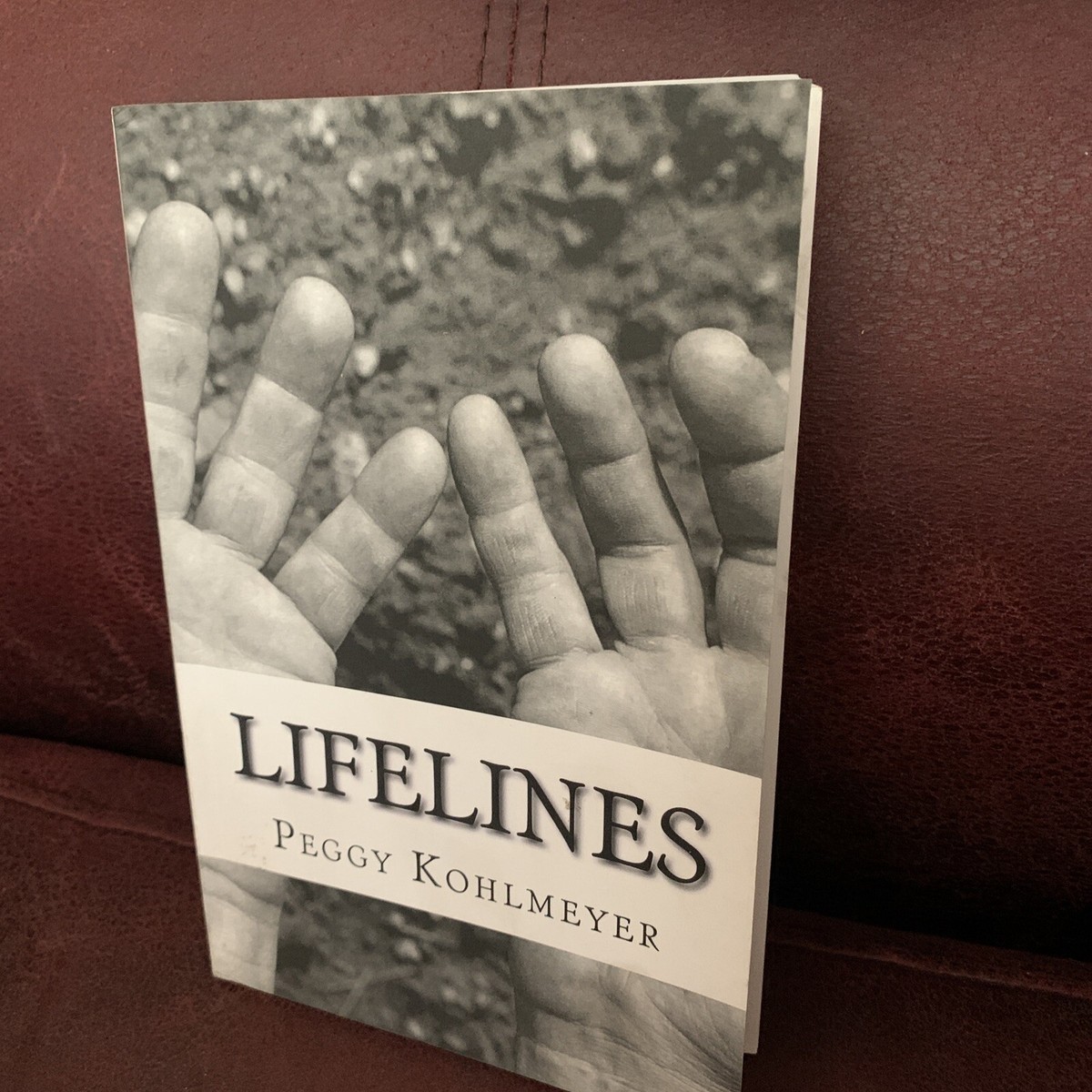 Lifelines: Coincidence? Or is my Life actually , Kohlmeyer-, 9780692743638|  eBay