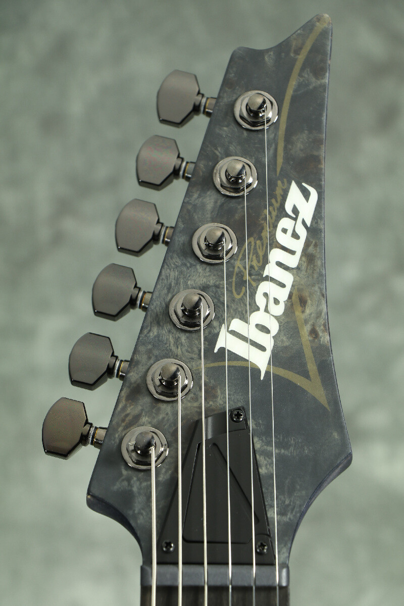 Ibanez RGT1221PB-DTF Deep Twilight Flat 2022 model with gig